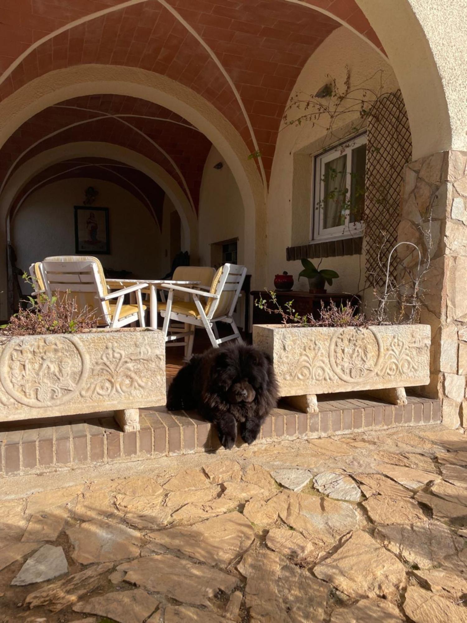 Campo La Carena Villa การ์ริเกญา ภายนอก รูปภาพ